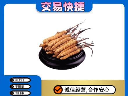 同德县礼品回收散虫草.jpg